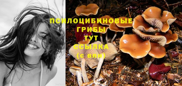 марки lsd Сосновка